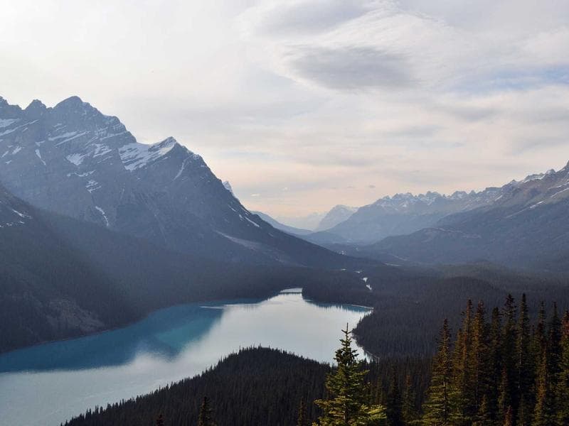 Oil Facility Equipment Procurement